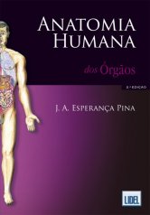 Anatomia Humana dos Órgãos
